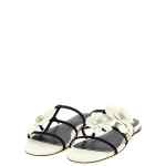 Zimmermann Orchid Slides