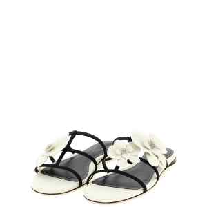 Zimmermann Orchid Slides