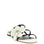 Zimmermann Orchid Slides