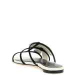 Zimmermann Orchid Slides