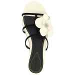 Zimmermann Orchid Slides