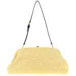 Alberta Ferretti Maxi Pouch