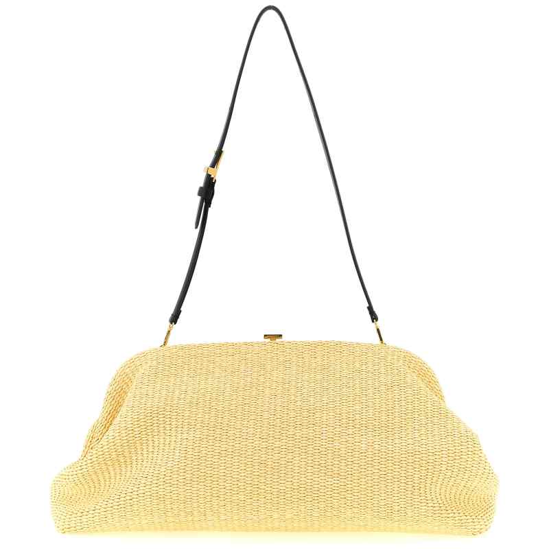 Alberta Ferretti Maxi Pouch