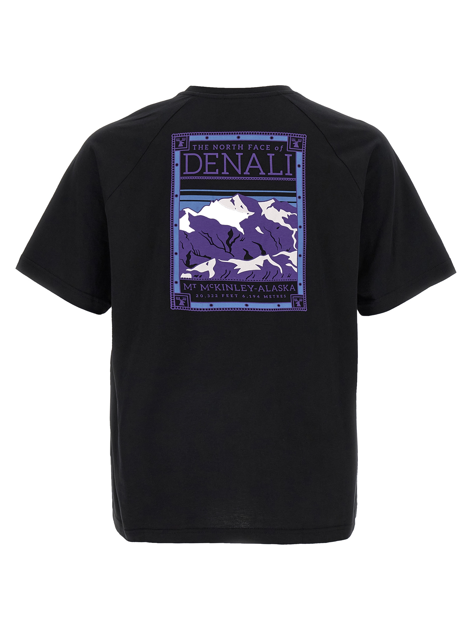 The North Face North Faces T-shirt