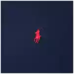 Polo Ralph Lauren Navy blue cotton Classic-Fit T-shirt