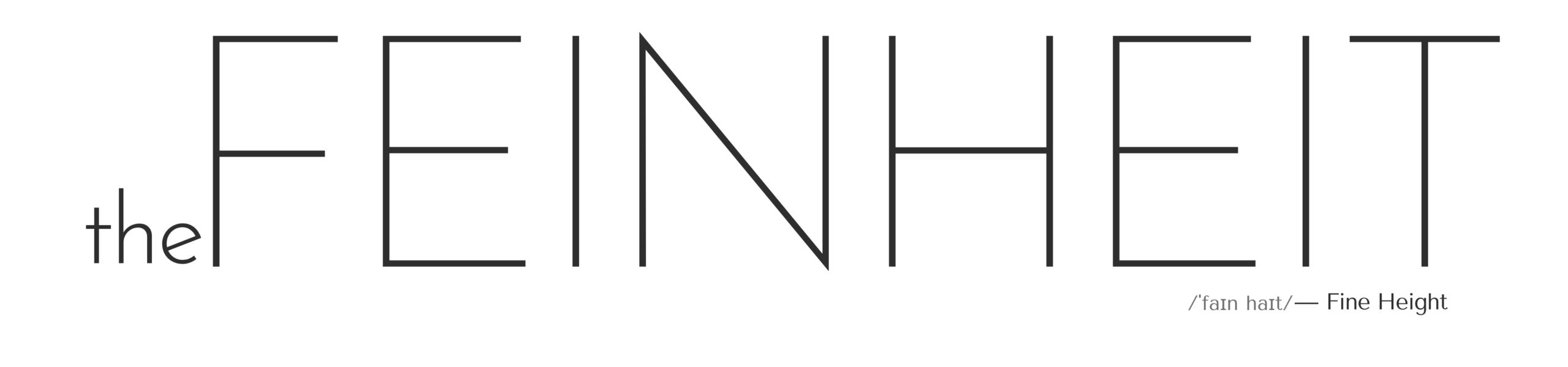 theFeinheit Logo