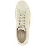 Tod's Allacciata Cassetta Sneakers