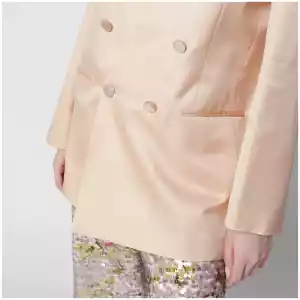 Alberta Ferretti Beige double-breasted jacket in silk organza