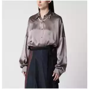 Dries Van Noten Shirt Taupe Color in Silk