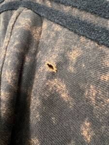 Adidas By Song For The Mute Logo cotton t-shirt