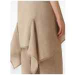 Fabiana Filippi Asymmetric top