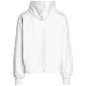 Gcds College’ Hoodie