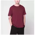 Polo Ralph Lauren Wine red cotton T-shirt Classic-Fit
