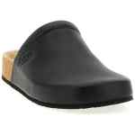 Saboto Balenciaga X Scholl