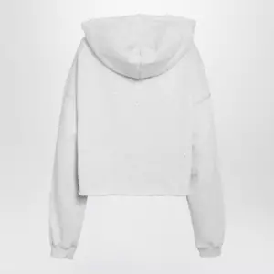 Golden Goose Star sweatshirt with crystal embroidery in grey cotton