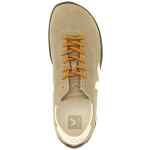 Veja Jitsu Sneakers