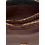 Pinko Mini Double Small Crossbody Bag