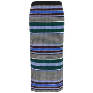 Pinko Terra Skirt