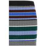 Pinko Terra Skirt
