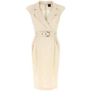 Pinko Amadine Dress