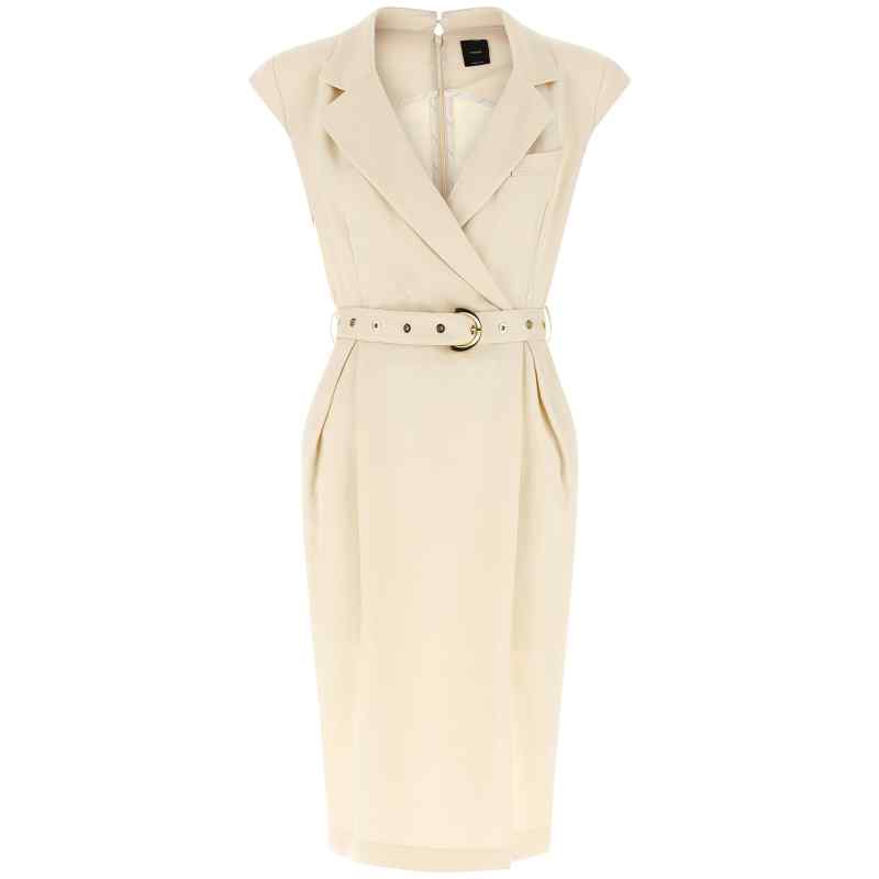 Pinko Amadine Dress
