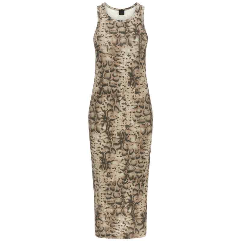 Pinko Novoli Dress