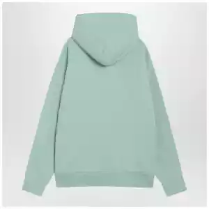 Polo Ralph Lauren Aquamarine cotton hoodie