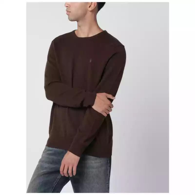 Polo Ralph Lauren Brown wool sweater