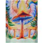 Casablanca Nature Teacher Shirt