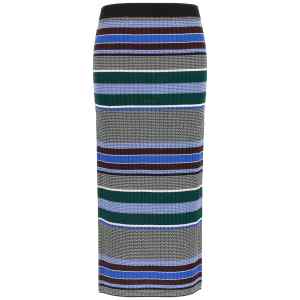 Pinko Terra Skirt