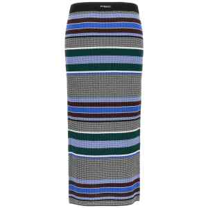Pinko Terra Skirt