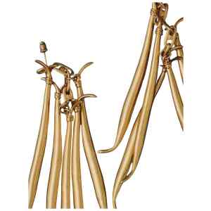 Jacquemus The Haricots Earrings