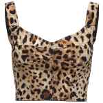 Dolce & Gabbana Leopardo Bustier Top