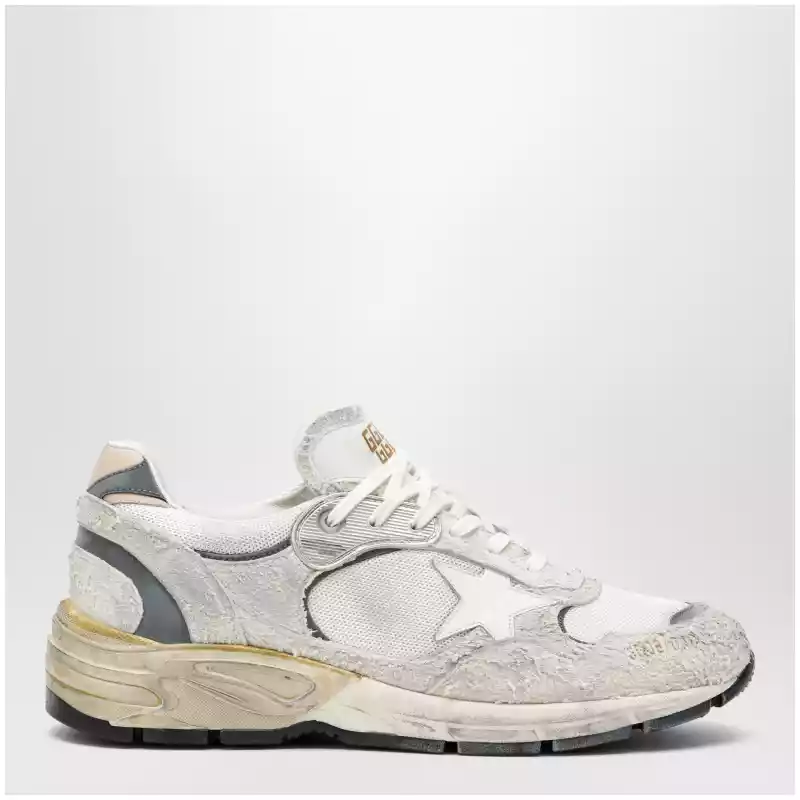 Golden Goose Dad-Star trainers in suede and white/silver mesh