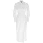 Max Mara Balzac Dress