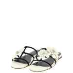 Zimmermann Orchid Slides