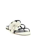 Zimmermann Orchid Slides