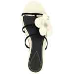 Zimmermann Orchid Slides