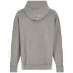 Polo Ralph Lauren Pony Hoodie