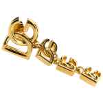 Dolce & Gabbana Logo Earrings