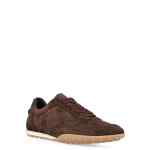Tod's Sneakers BROWN