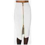 Elisabetta Franchi Skirts