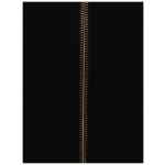 Elisabetta Franchi Skirts BLACK