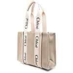 Chloé Chloè Bags.. POWDER