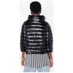 Herno Jackets BLACK