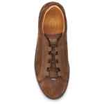 Tod's Sneakers BROWN