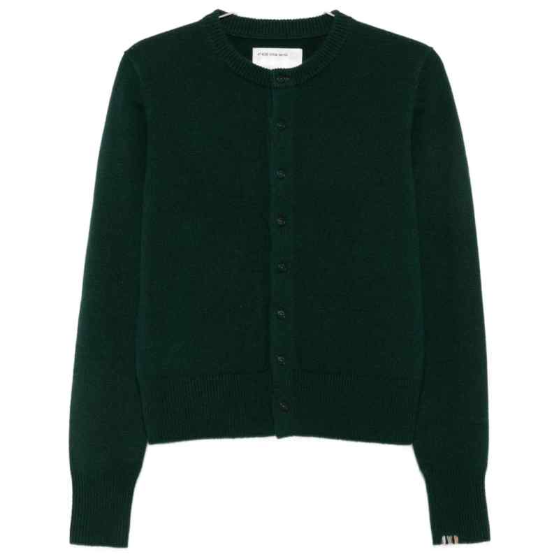 200026869-fw26-extremecashmeremain-435littlelamb180 EXTREME CASHMERE Sweaters GREEN