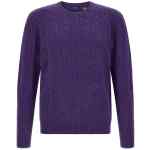 Polo Ralph Lauren Braided Sweater