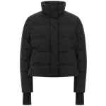 Alexander McQueen Cropped Down Jacket