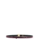 Alberta Ferretti Striped Buckle Belt